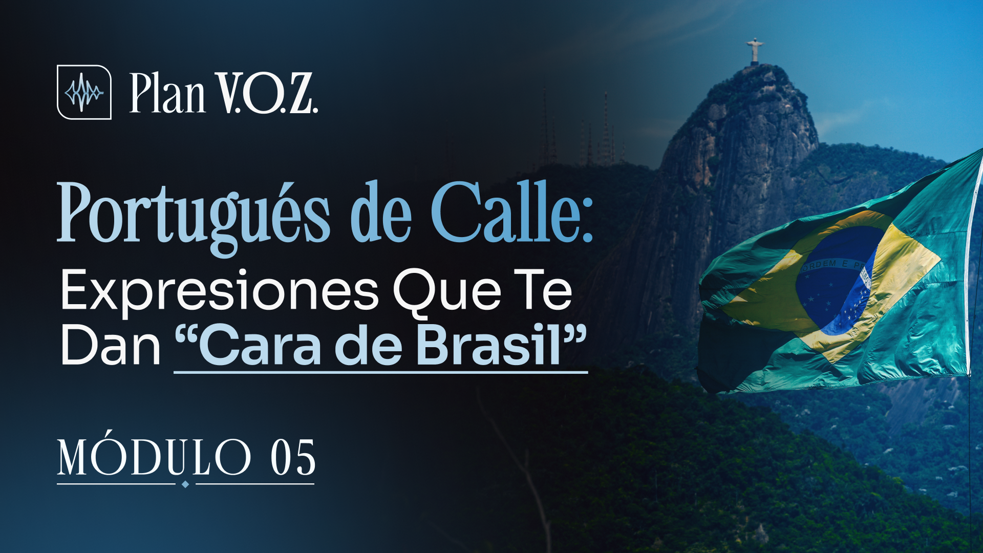 Capa oficial del módulo 5 del Plan V.O.Z.
